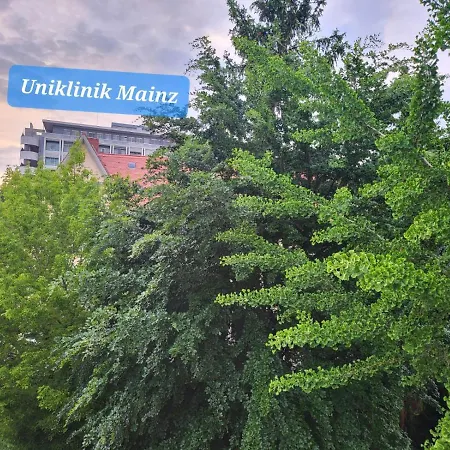 Privatunterkunft Helles An Der Uniklinik - Zweibettzimmer Mit Balkon Mainz